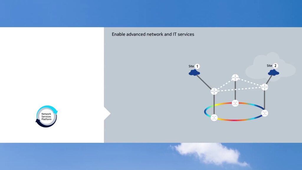 Nokia Network Services Platform