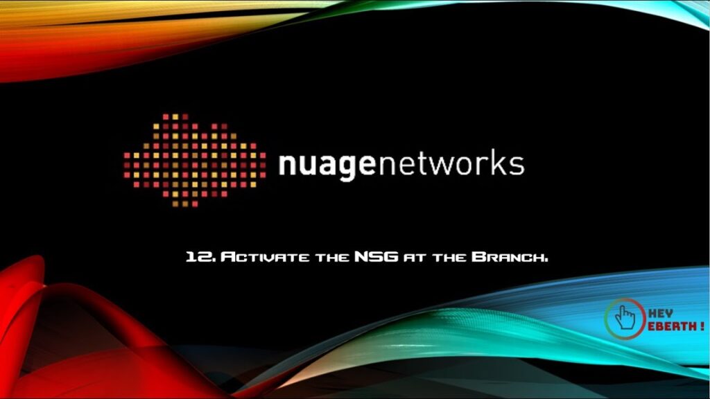 Nuage Networks NSG-E